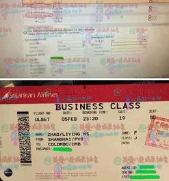 哈尔滨航班爆料信息最新,揭秘航班延误背后的真相  第3张